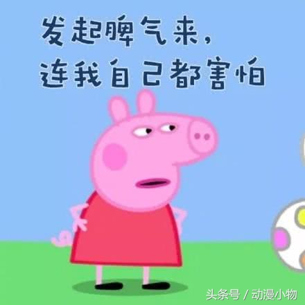 小猪佩奇表情包一点都不好笑,小猪佩奇表情包cool