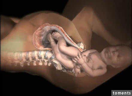 令人震撼!7张图看懂分娩过程,请珍惜那个为你生孩子的女人