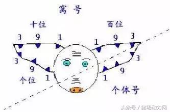 猪栏面积的存栏量如何计算,一千头母猪群需要多少产床限位栏