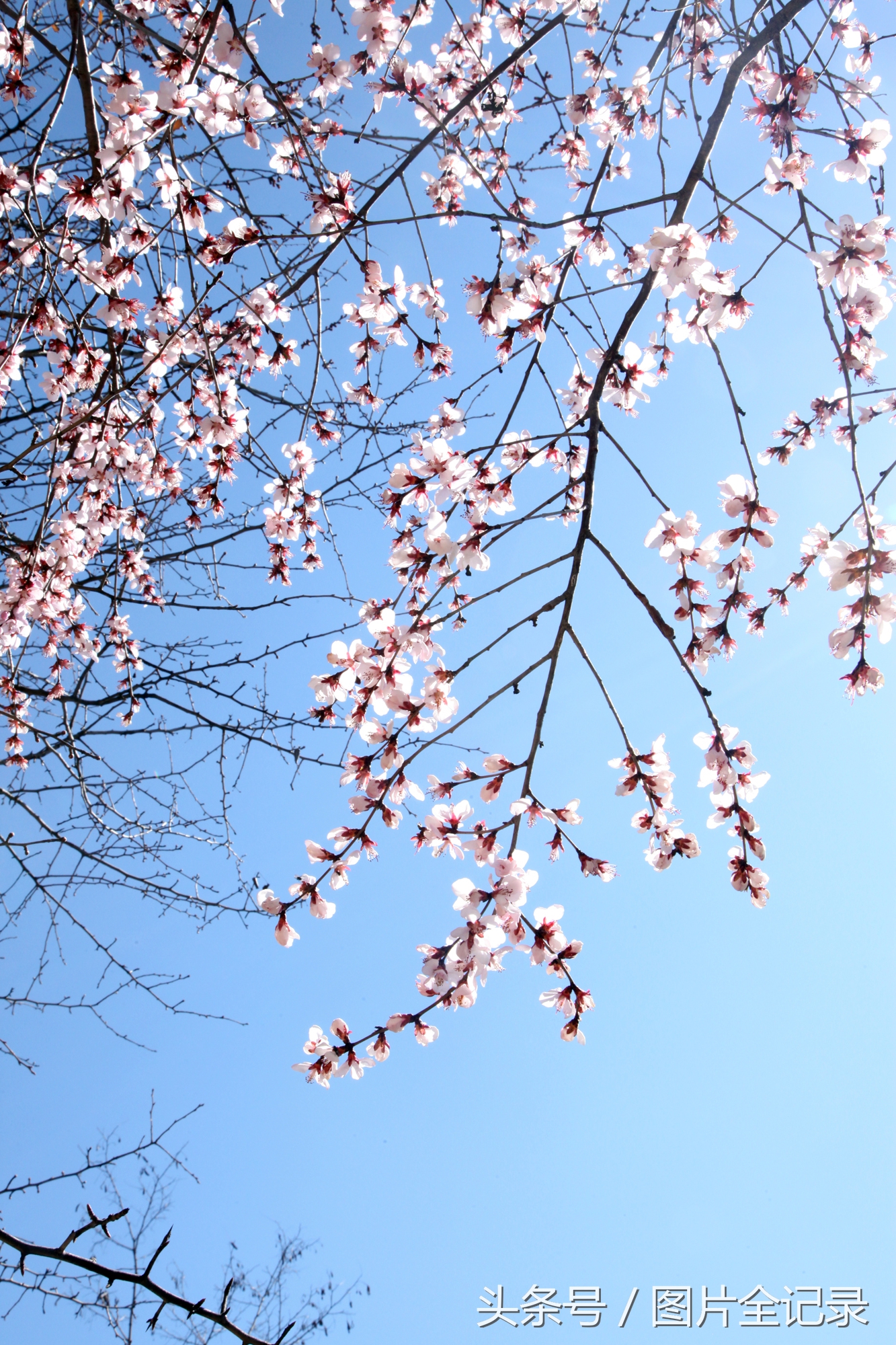 山西吉县人祖山景区,山西吉县人祖山介绍