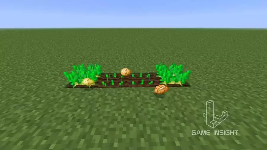 我的世界几个最稀有的方块,我的世界最罕见的四个物品