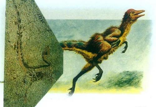 恐龙世界上最强的恐龙是什么恐龙,世界上超级大的恐龙是什么恐龙