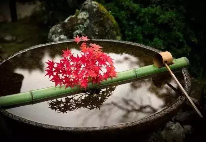 古代家风家训的小故事,古代家规家训家风