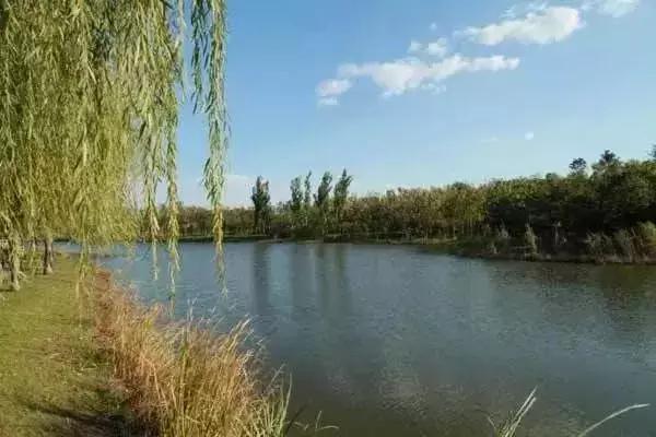 春分节气的民间习俗及养生技巧,春分节气的饮食