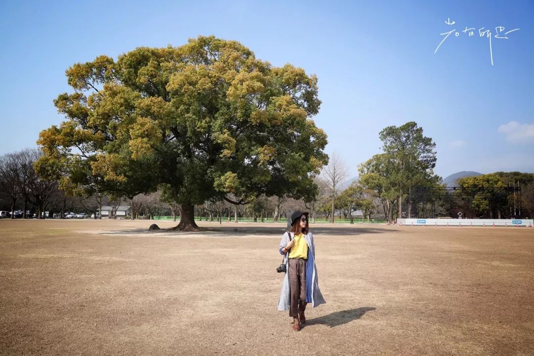 一次游轮之旅,一次悠闲惬意的美好旅行