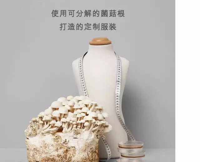食物藻类做衣服,可降解缝线,HM这是想把“一次抛”进行到底?!