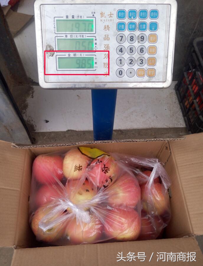 女子买了一箱苹果空纸箱,女子购买一箱苹果空纸箱重2.7公斤