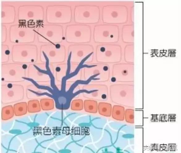 澳门爱丽小屋悦诗风吟,气垫隔离爱丽小屋和悦诗风吟
