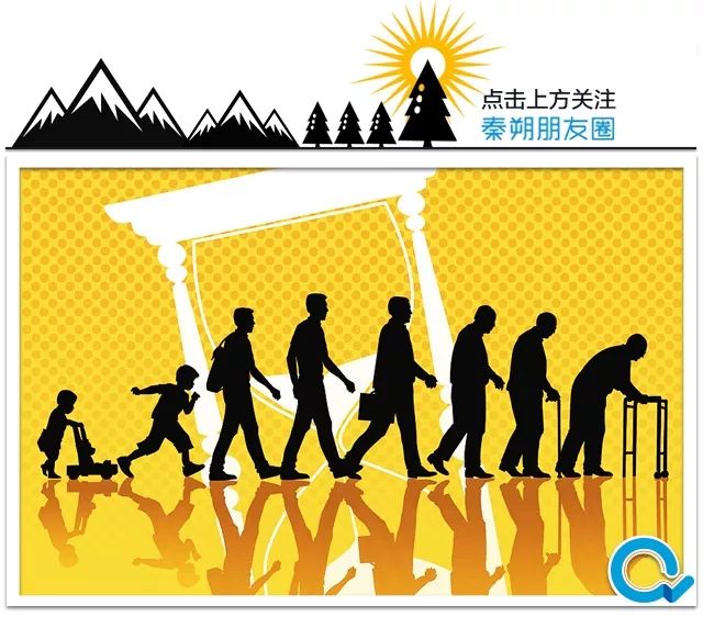 人生何解？这道命、运、理的函数题大视野