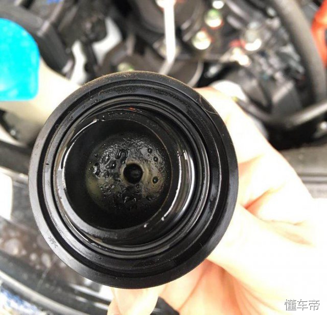 全面沦陷原创,全面沦陷分析