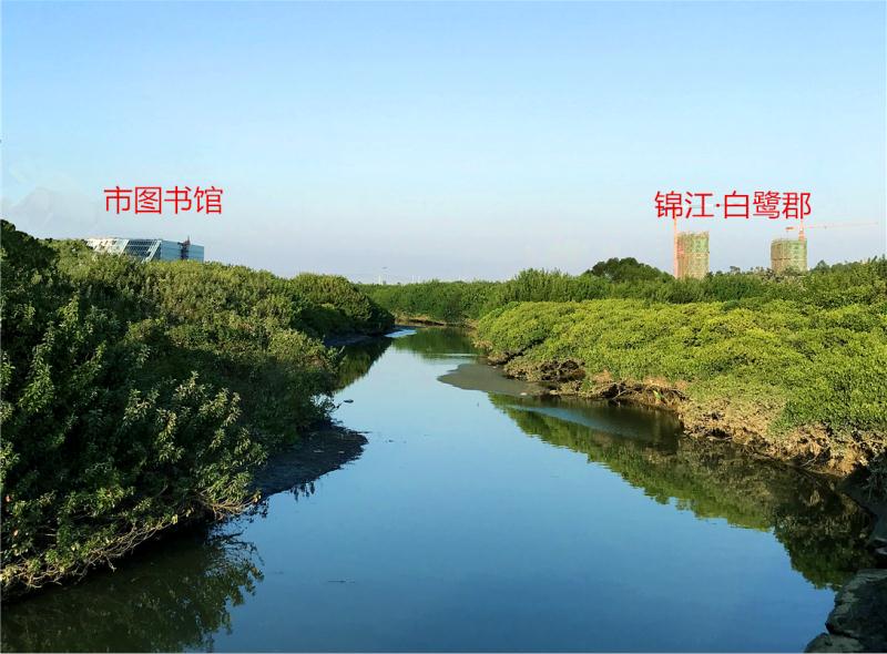 北海靠近繁华商圈的旅居盘,北海银湾海滨附近的旅居盘