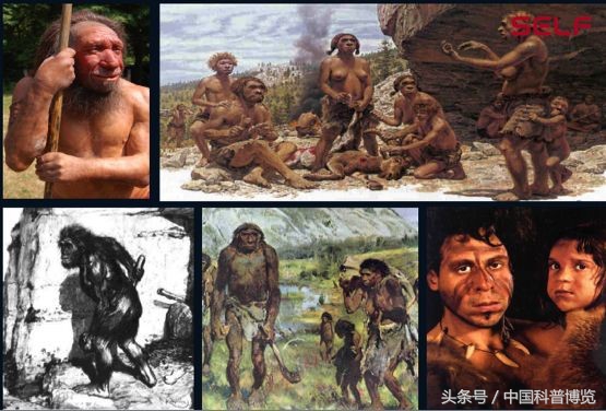 从非洲一路啪啪到东亚,我们祖先的混血史到底有多乱?