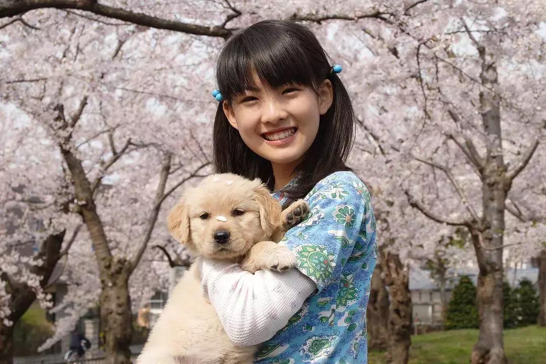 十大经典狗片排行榜国外,评价最高的十部关于狗的电影