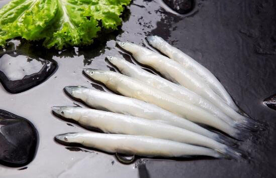 鱼中珍品白肌银鱼之谜,白鳍豚的传说