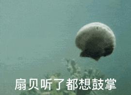 十大最好用粉底排行平价,全球公认最好用的粉底液平价