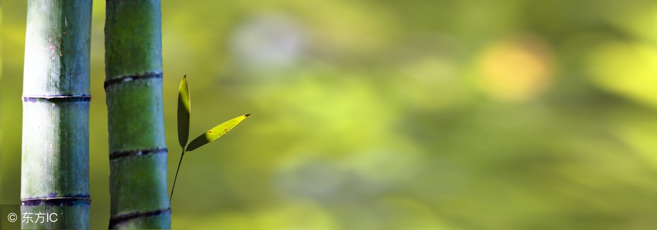 杭州竹海水韵咏竹园,竹海水韵咏竹园图片