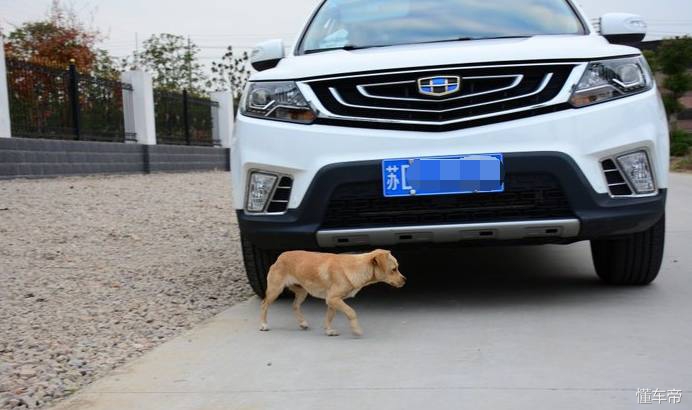 远景suv的优缺点,提车一年了