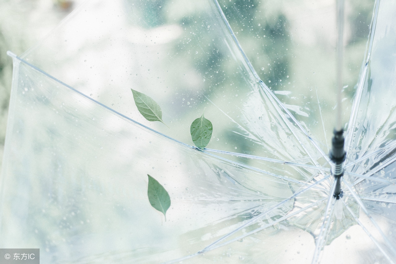 说一声珍重道一声晚安美文,单身女励志晚安发圈美文