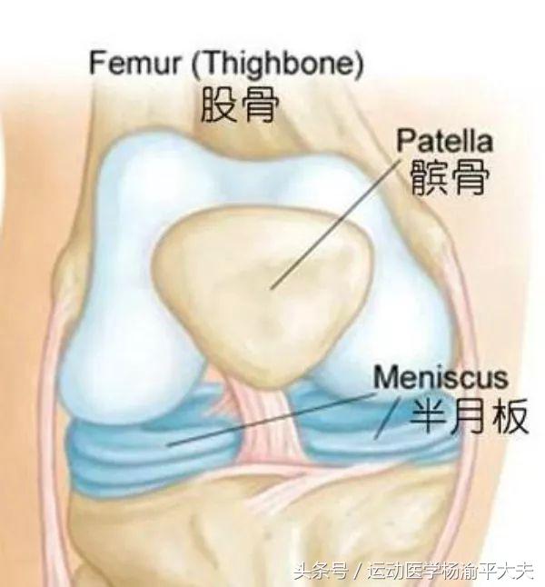 半月板撕裂保守治疗哪个膏药好,半月板后角撕裂的最好治疗方法
