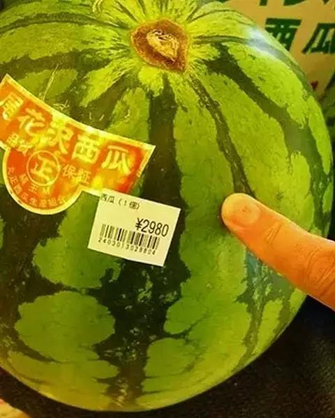 揭开大麦青汁的骗局,大麦青汁真的有那么神奇吗