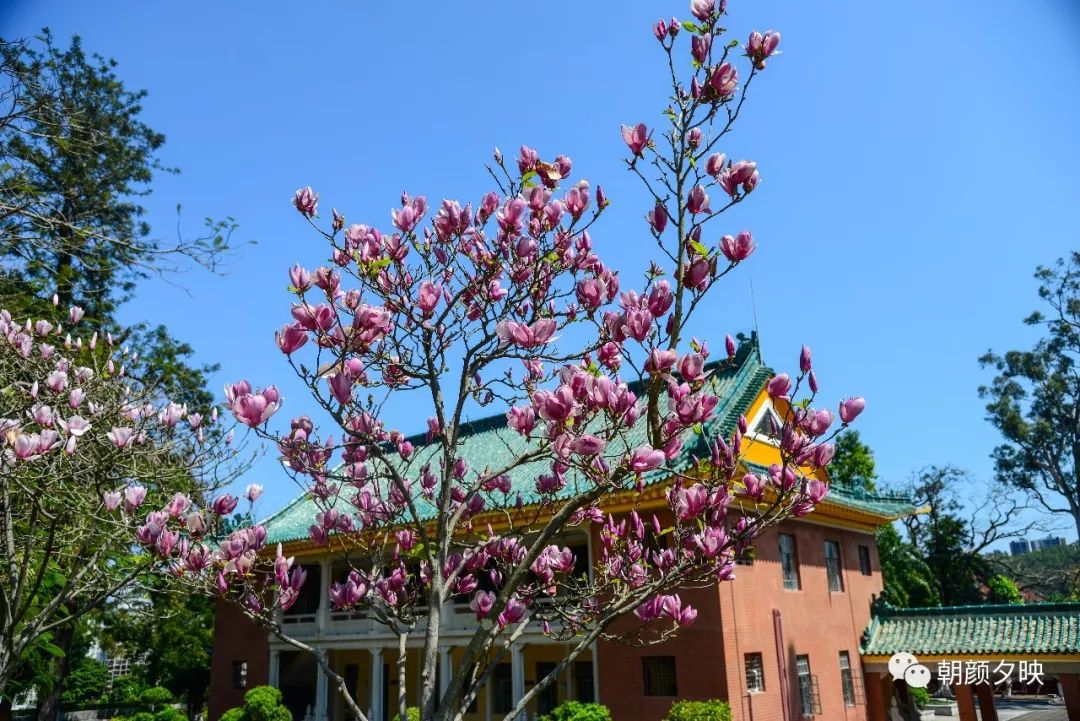 中山纪念中学100周年校庆,中山纪念中学80周年校庆