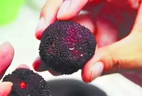 有关谣言被辟谣的现象,辟谣各种谣言