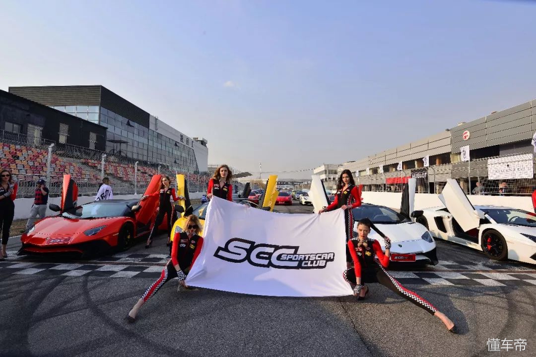 我和春天有个约会,我和春天有个约会阅读