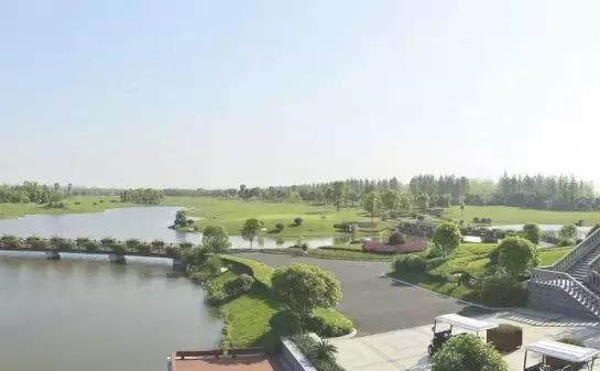 三年评先进,湖北表扬的10个县