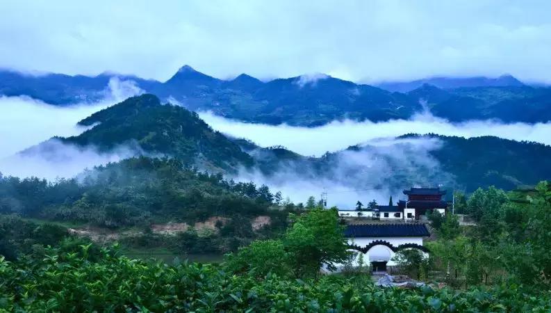 三年评先进,湖北表扬的10个县