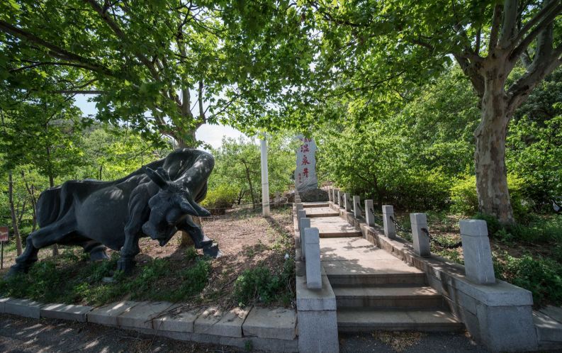 大连又好玩又拍照好看的地方,大连有什么拍照的好去处