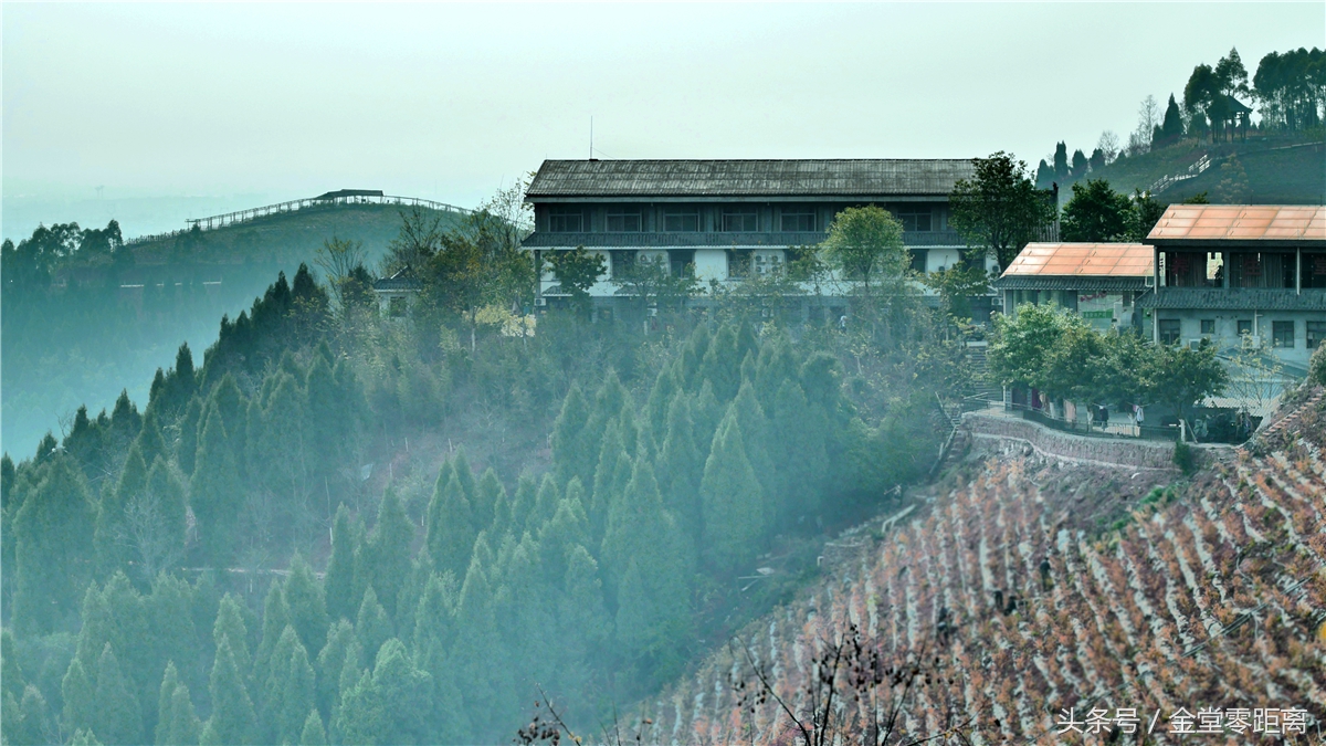 金堂玉皇山生态康养,金堂县玉皇养生谷详细介绍