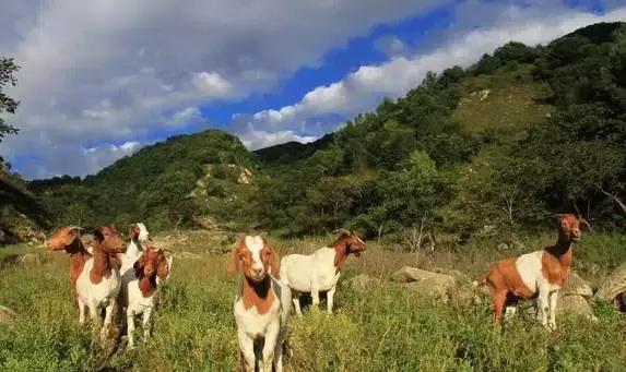 易县云蒙山皇家森林公园附近爬山,易县周边适合带孩子爬山的地方