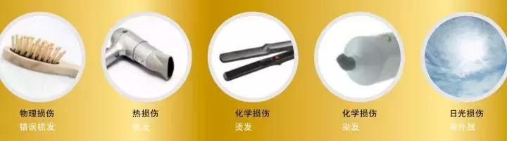 头发发叉易断干枯用什么护发精油,头发干枯急救精华