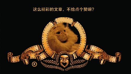 工作繁忙的人适合养什么狗,工作比较忙适合养猫吗