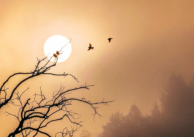 七星伴月七星星君,七星伴月迎中秋