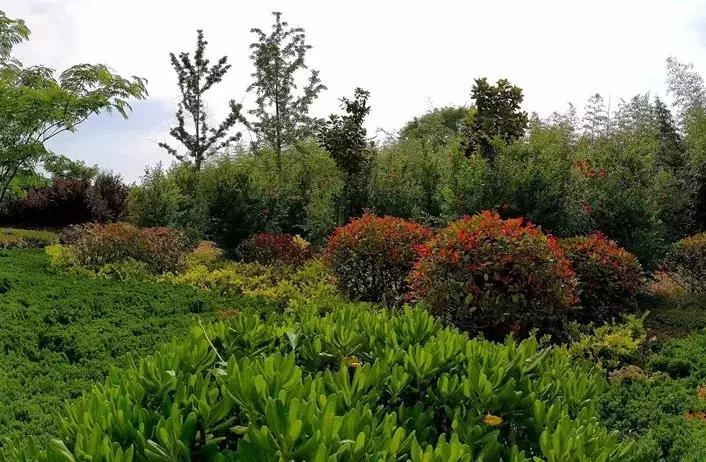 滨海，向全世界发出邀请！