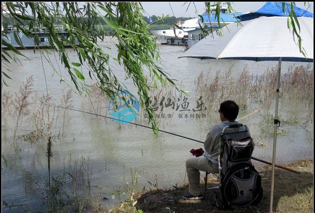 钓鱼大师谈野钓,悠仙钓鱼视频全集