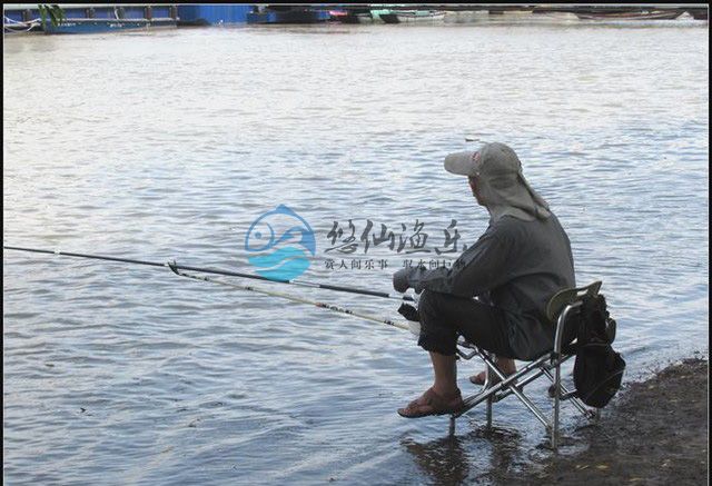 钓鱼大师谈野钓,悠仙钓鱼视频全集