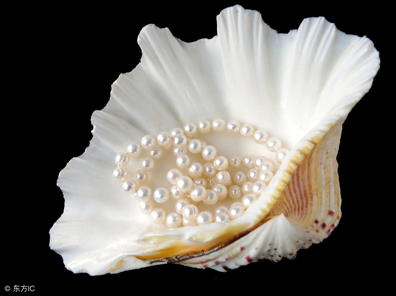 脸部清洁去黑头小窍门,鸡蛋去黑头小窍门视频