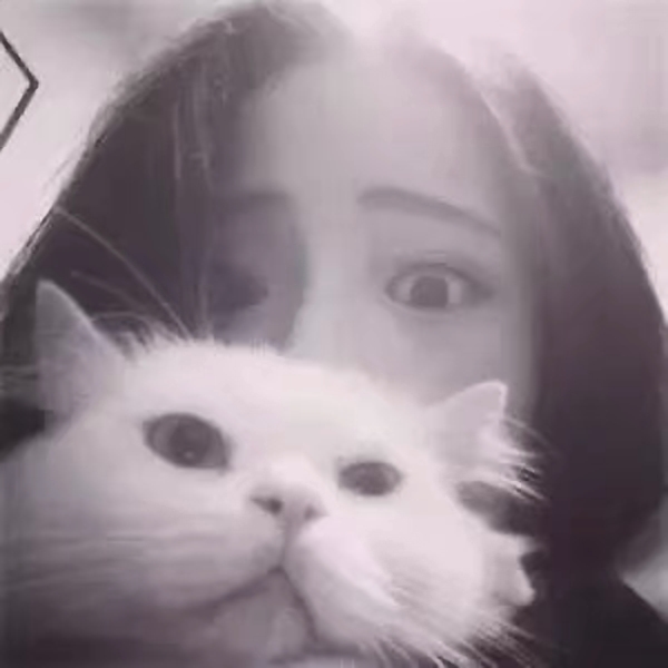 简约森系小清新壁纸,小清新唯美壁纸绿色