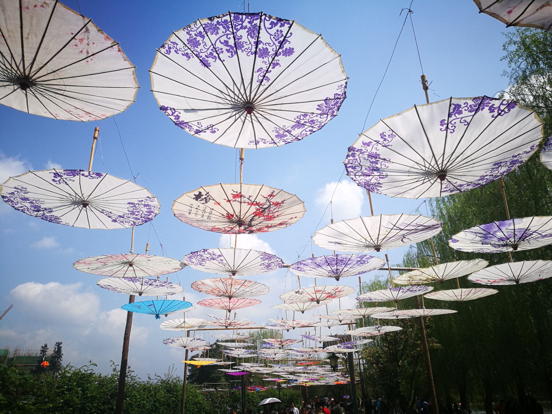 青白江凤凰湖樱花门票多少钱,青白江凤凰湖看樱花