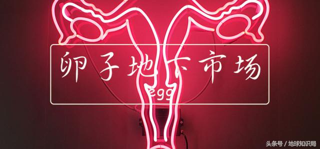 为什么有这么多女大学生热衷于做这件事？地球知识局