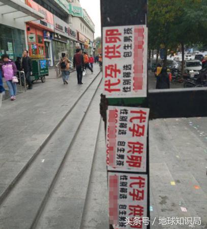 为什么有这么多女大学生热衷于做这件事？地球知识局