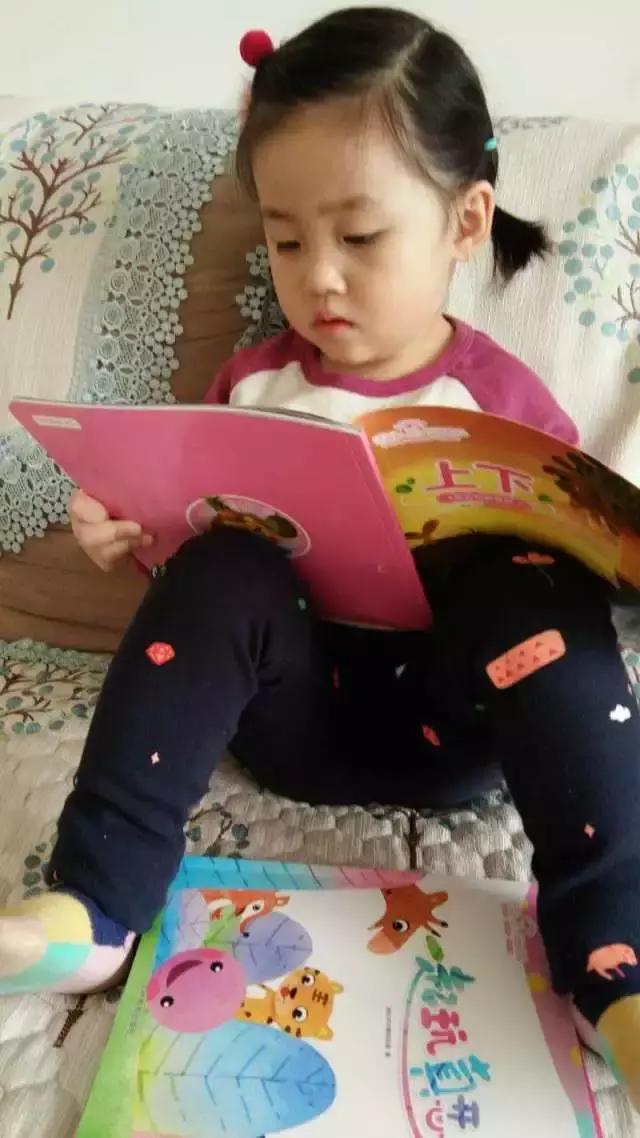 可可狮0到3岁,可可狮20月龄视频