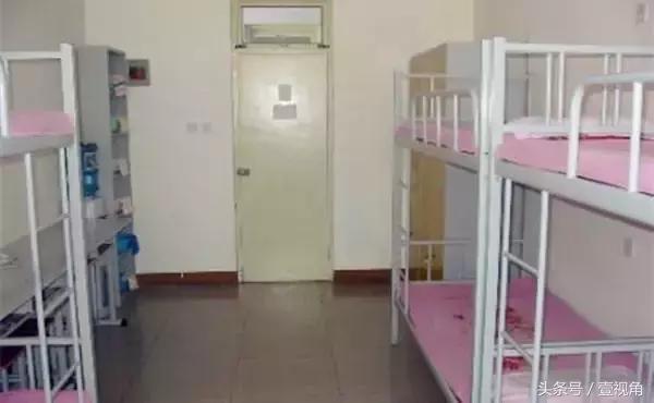 石家庄哪的公园樱花开了,石家庄樱花现在还有吗