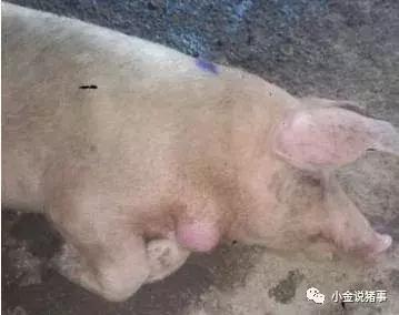 脓包型痤疮怎么治疗,脓包的最佳治疗方法