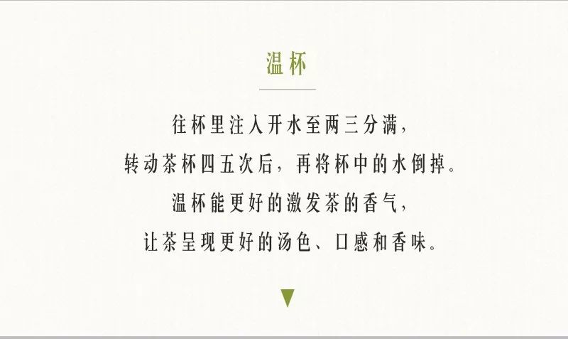 解锁春茶的多种冲泡方式,春茶上市的正确冲泡方法