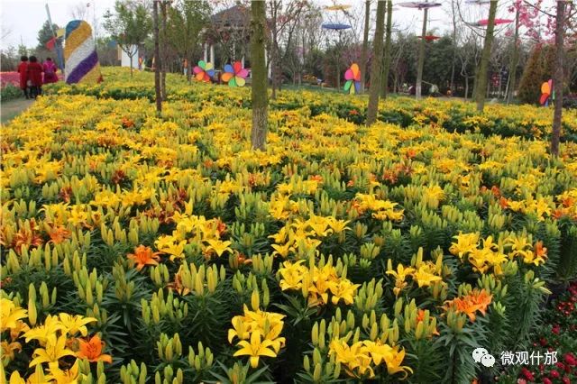 三月什邡旅游景点,三月的成都美景