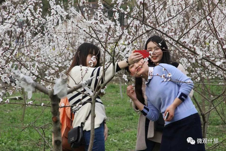 三月什邡旅游景点,三月的成都美景