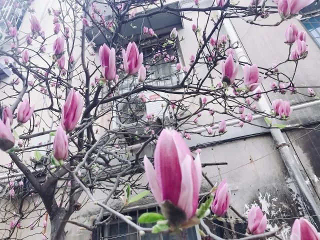 千万不要小看一个老头,千万不要小看一个长相年轻的男人